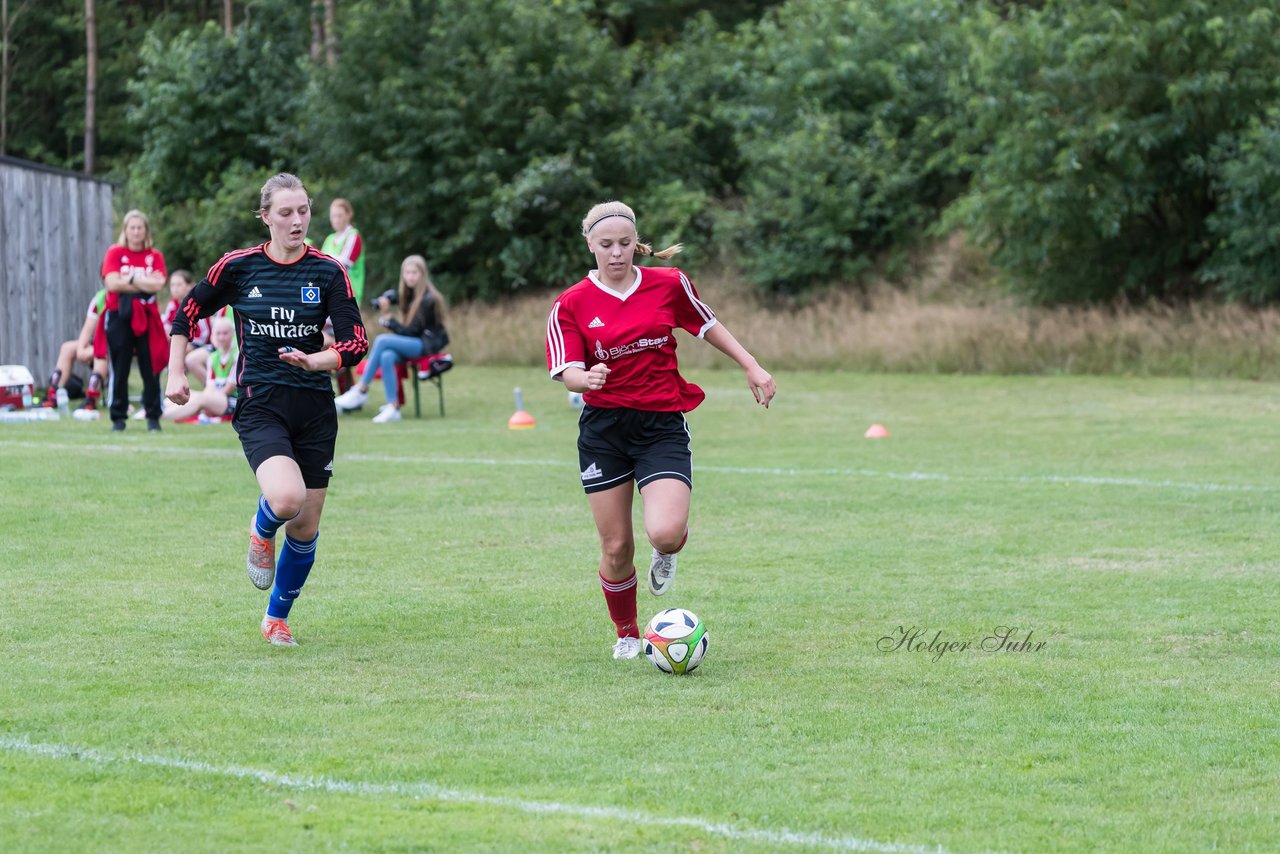 Bild 246 - Frauen SG NieBar - HSV 2 : Ergebnis: 4:3